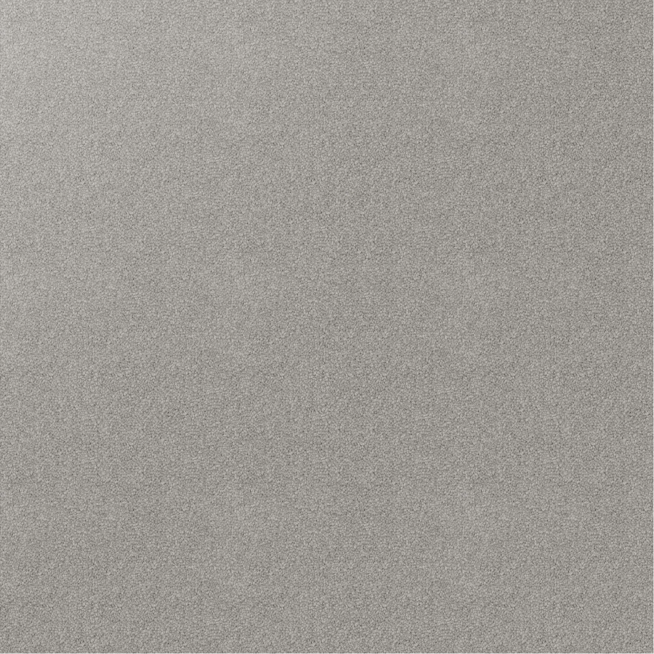 Swatch of textured cut pile twist carpet, Grey Vapour. Light grey.