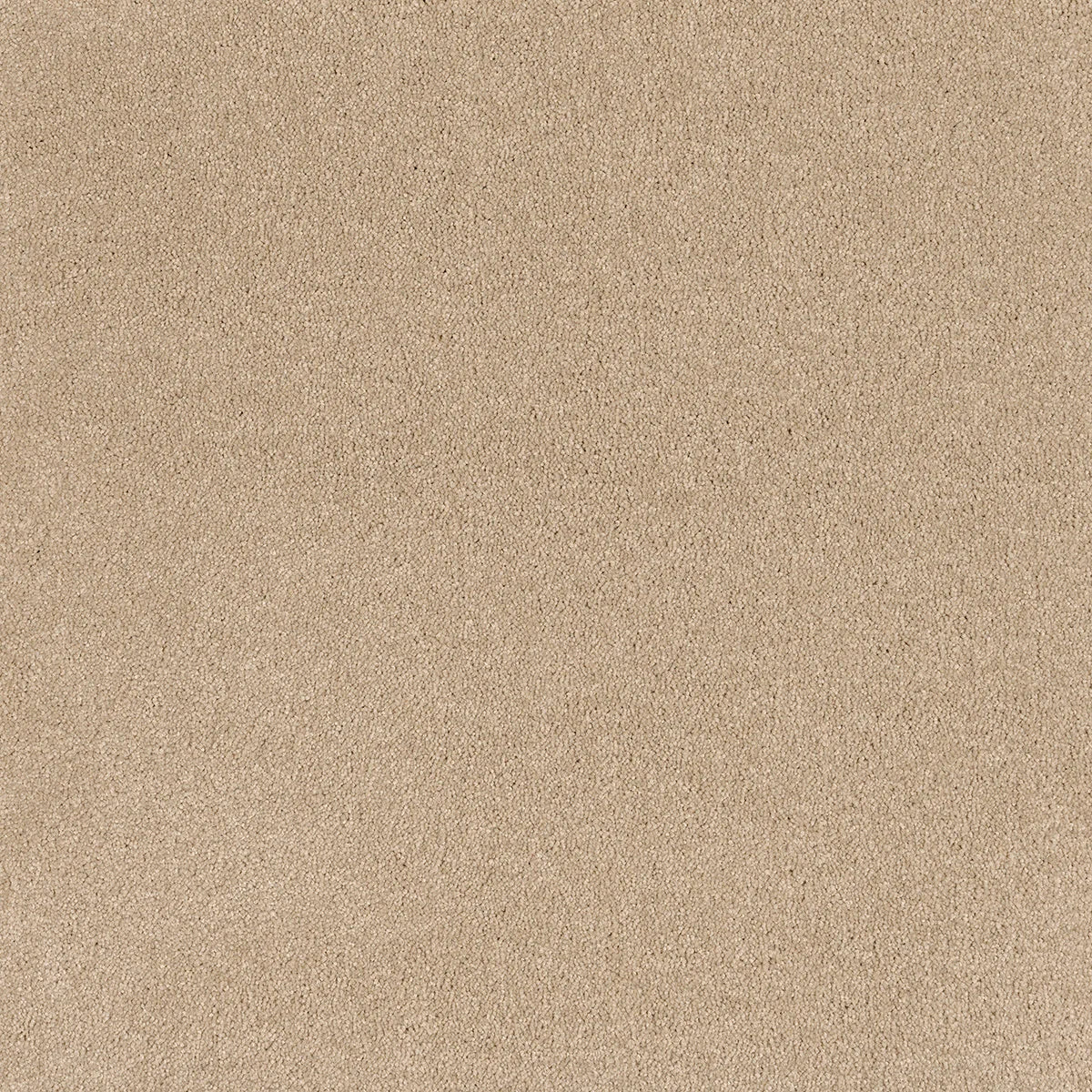 Coco Bliss Carpet