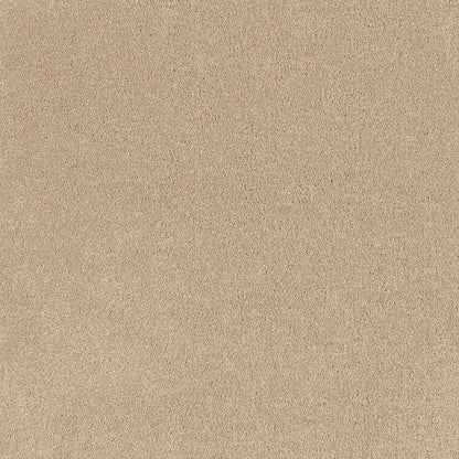 Coco Bliss Carpet