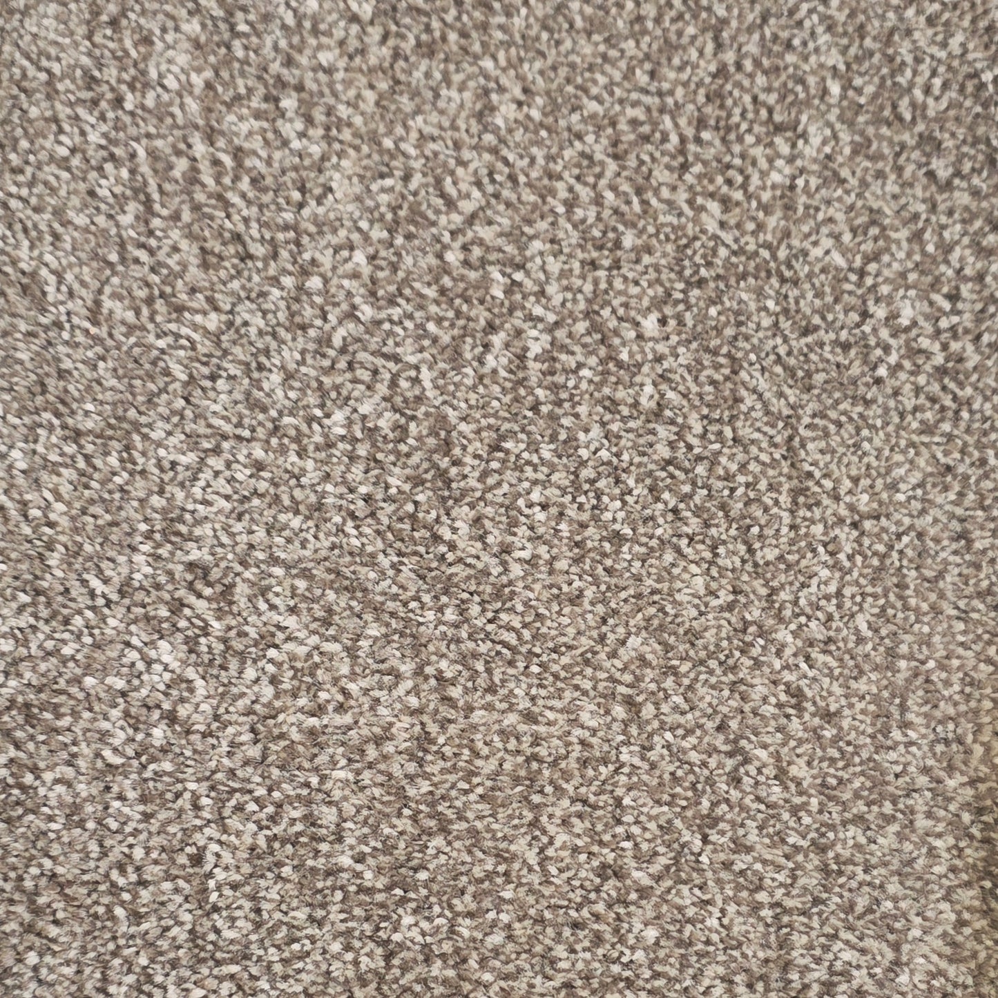 Havari Carpet
