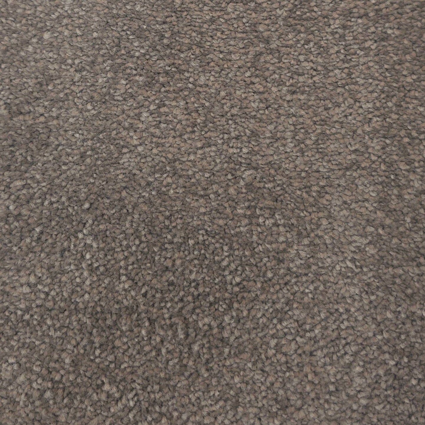 Havari Carpet