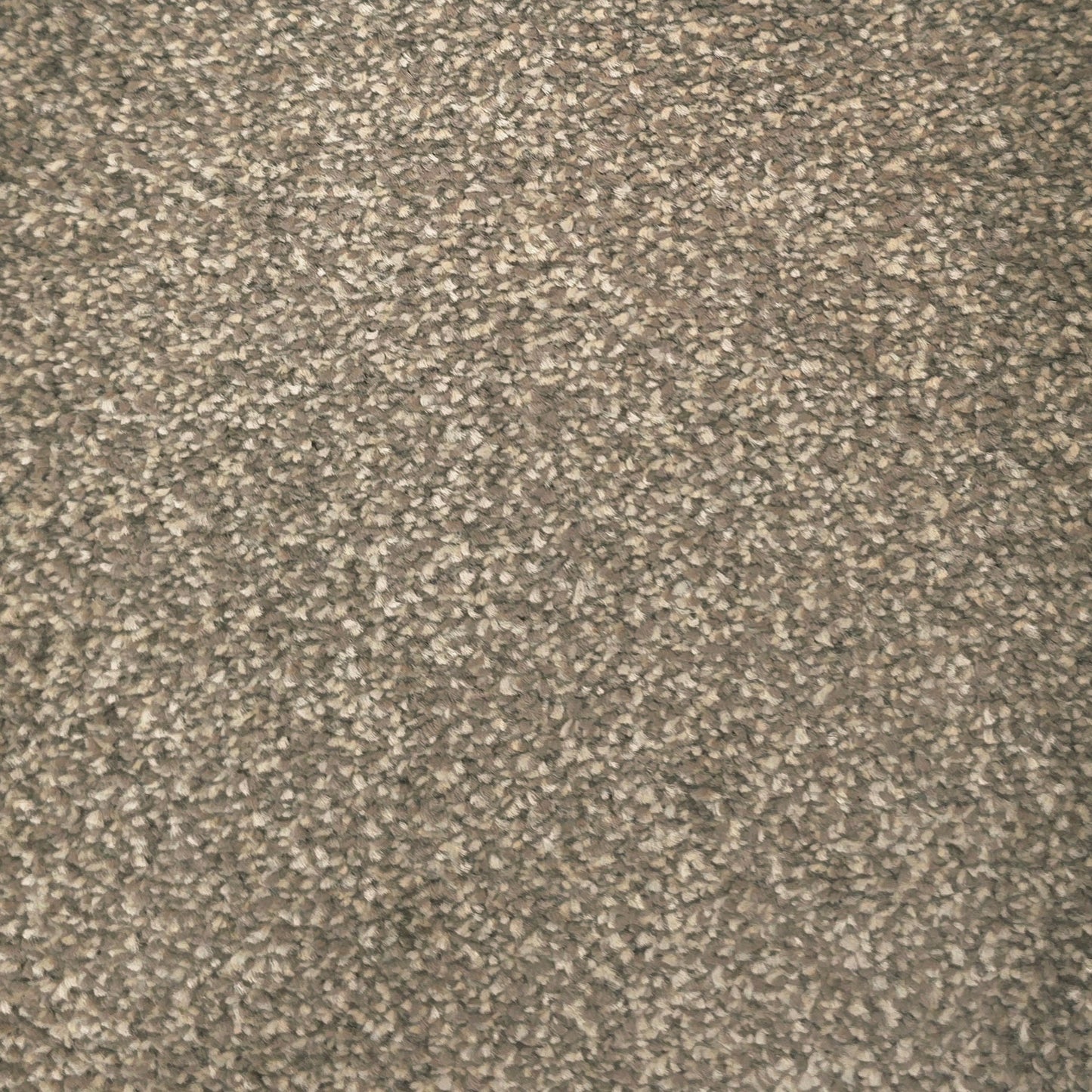 Havari Carpet