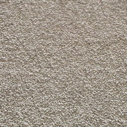 Highlight Carpet