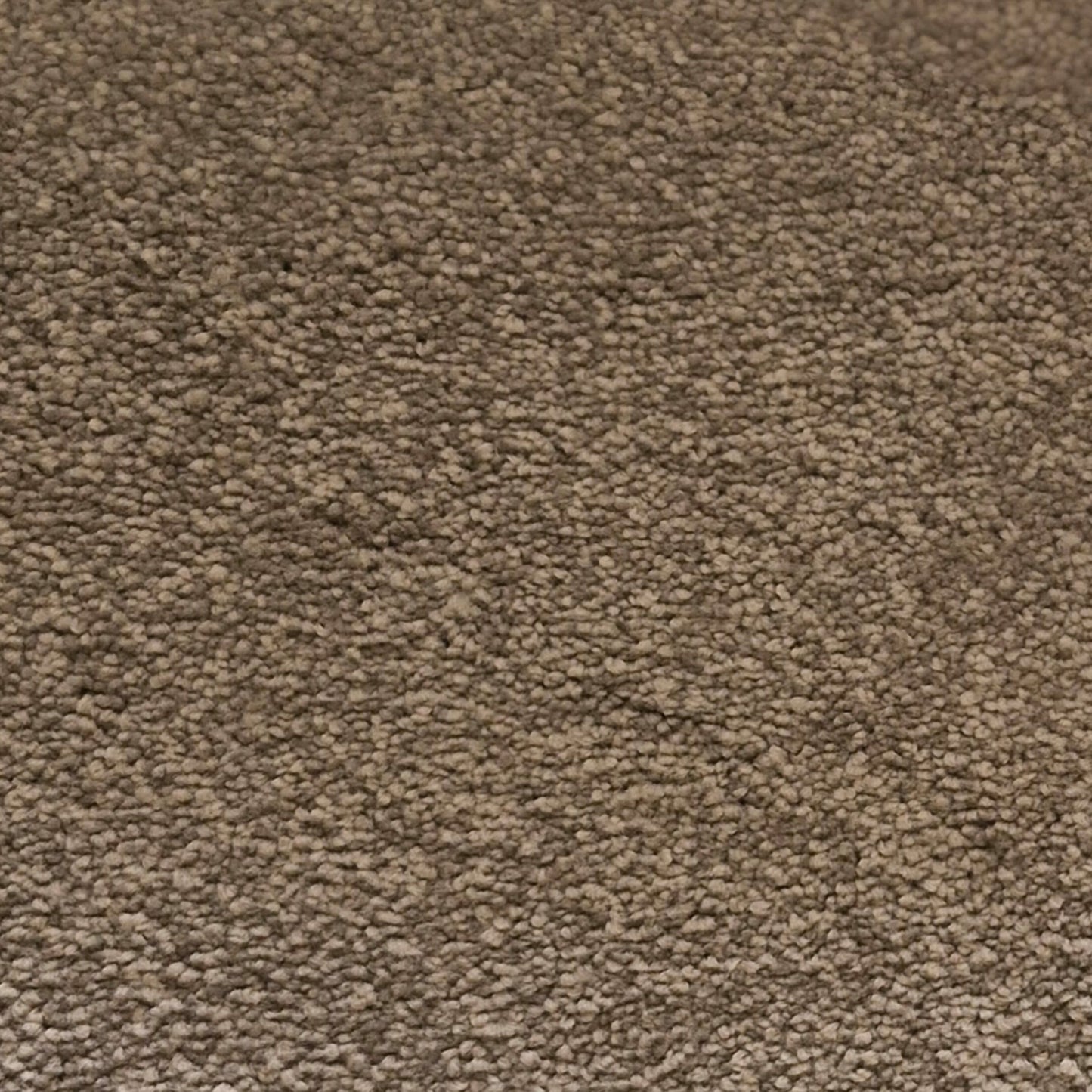 Highlight Carpet