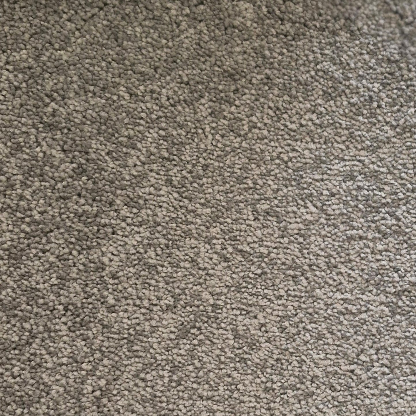 Highlight Carpet