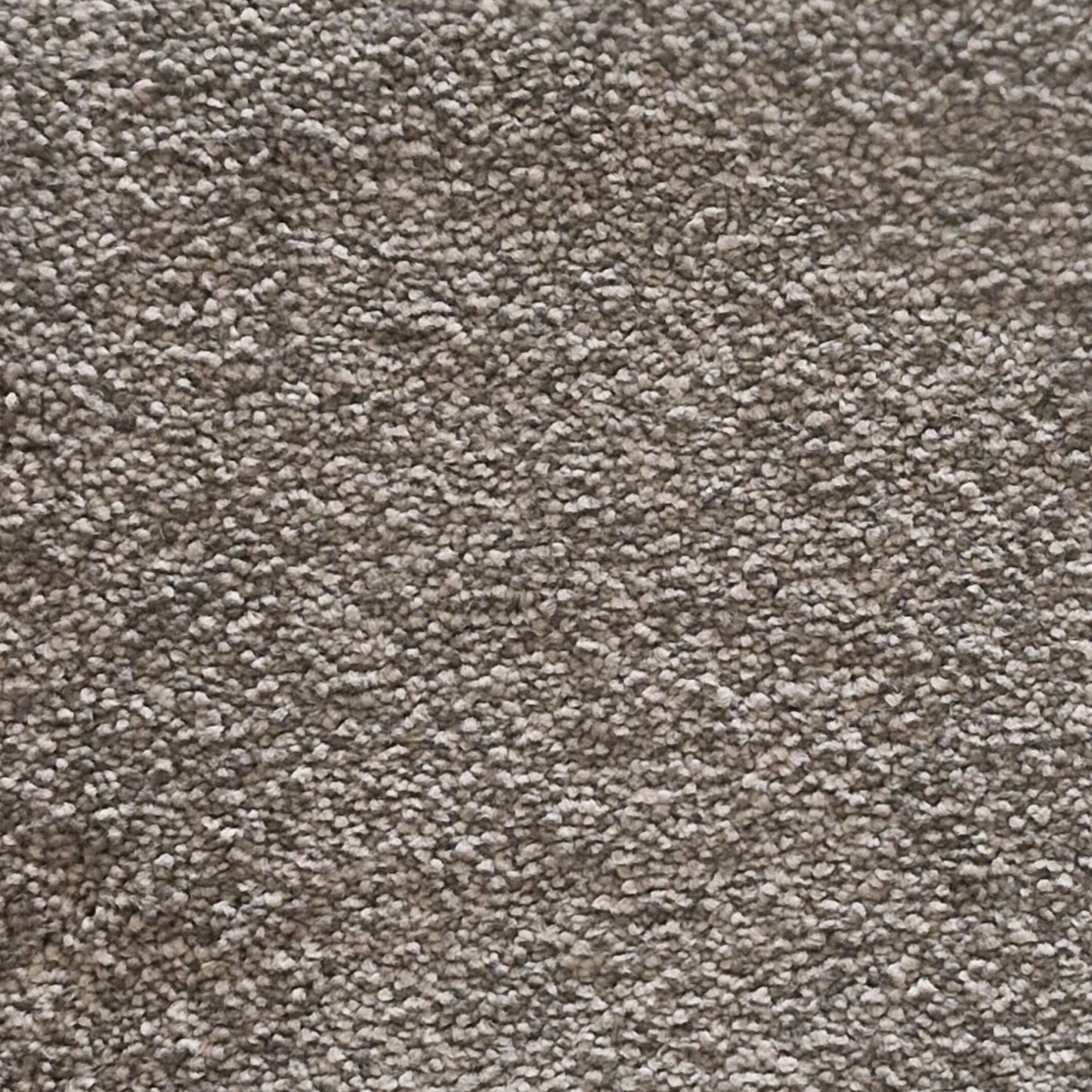 Highlight Carpet