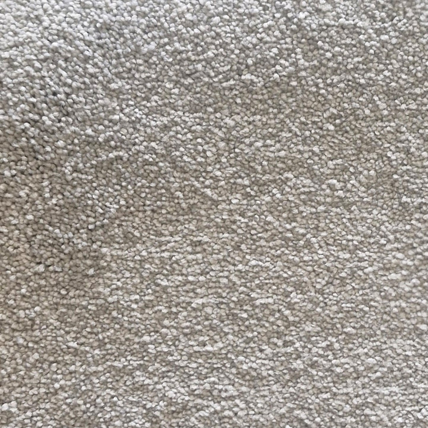 Highlight Carpet