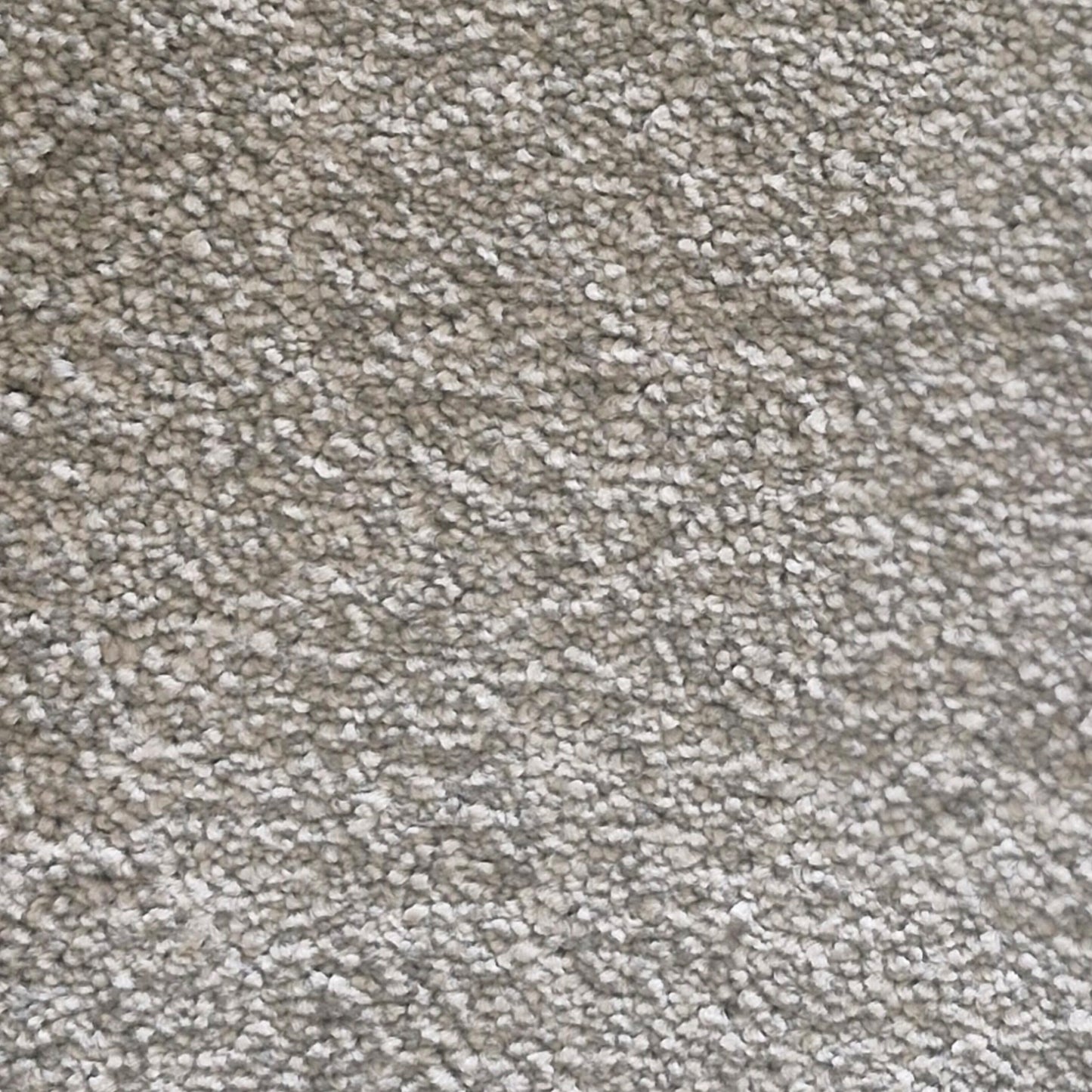 Highlight Carpet