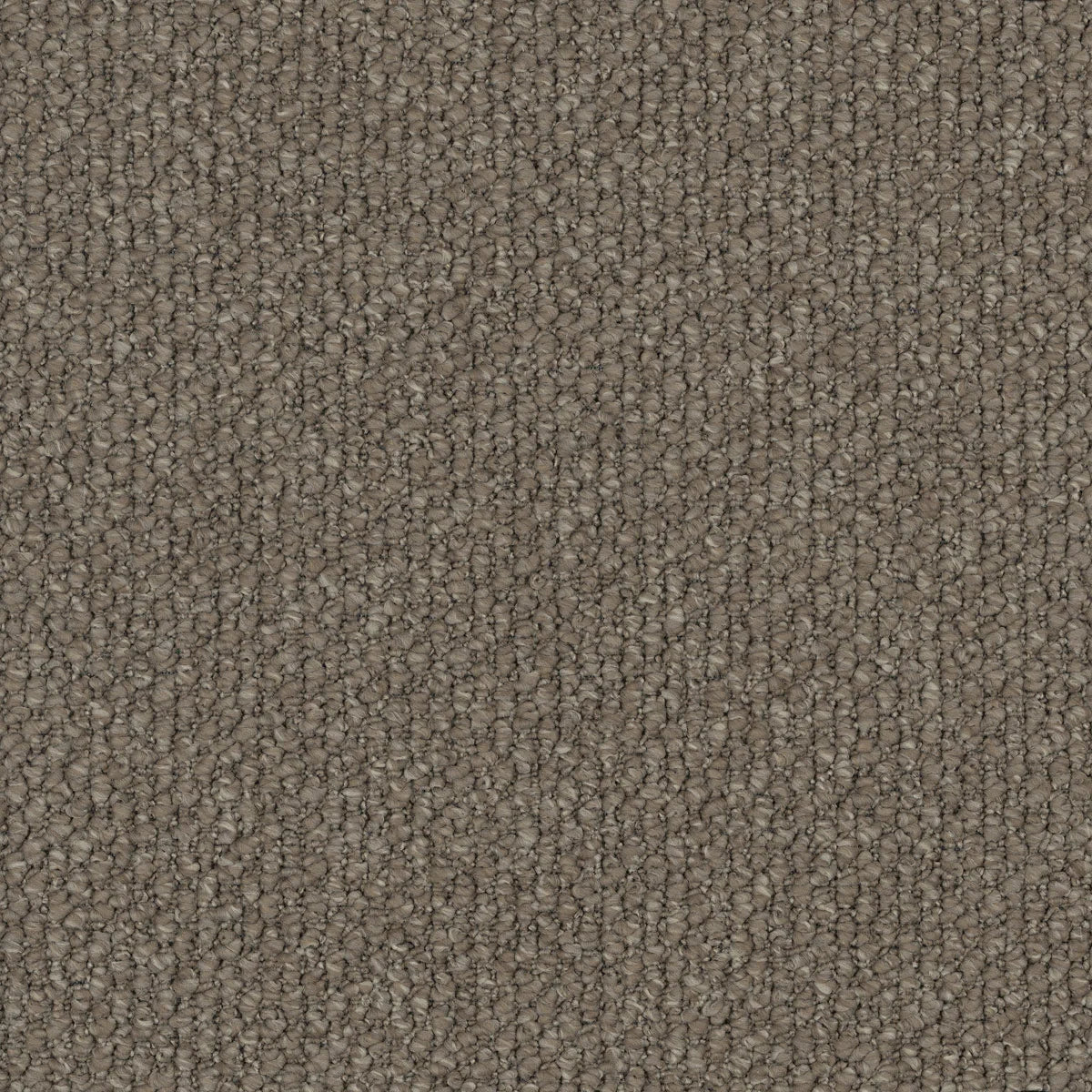 Montrosa Carpet