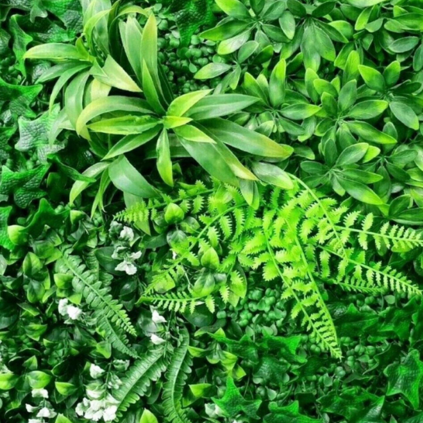 Green Wall Panels $99