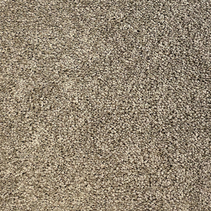 Devora Carpet