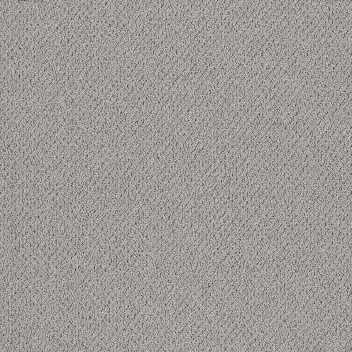 Bourkesgate Carpet