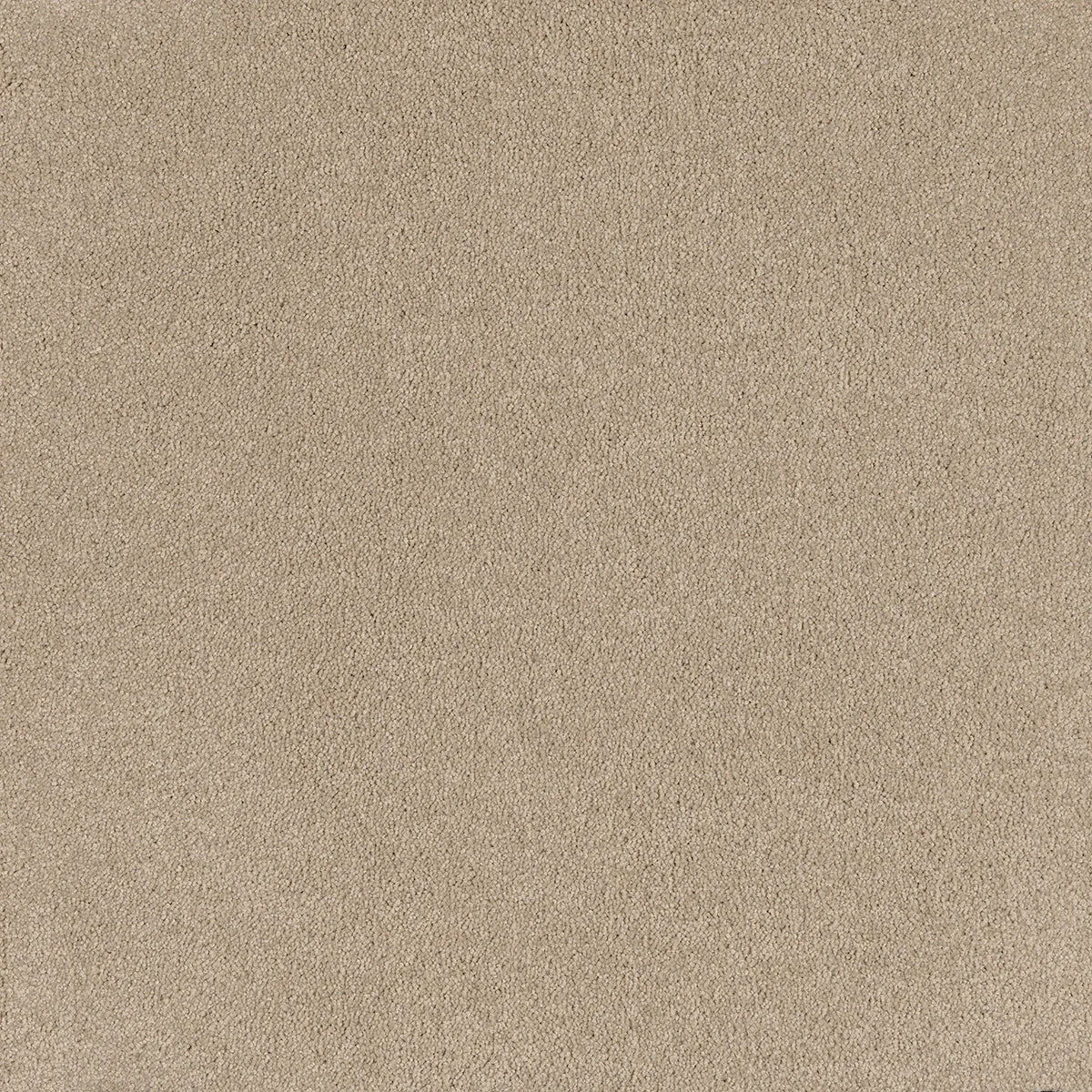Coco Bliss Carpet