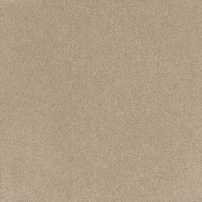 Coco Bliss Carpet