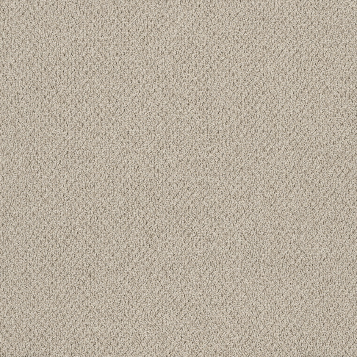 Bourkesgate Carpet