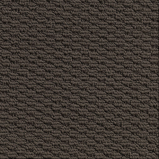 Patterned Loop Pile Carpet in the colour Campese brown.