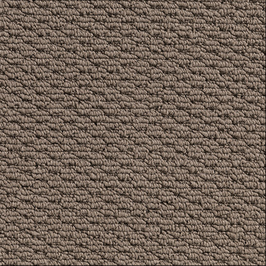 Patterned Loop Pile Carpet in the colour Latte a light brown. 