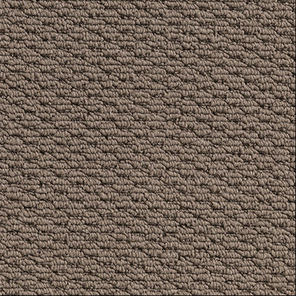 Patterned Loop Pile Carpet in the colour Latte a light brown. 