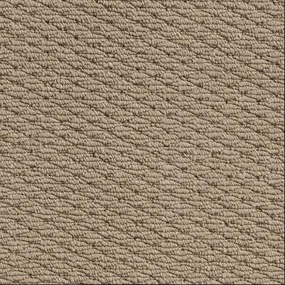 Patterned Loop Pile Carpet in Natural beige colour. 