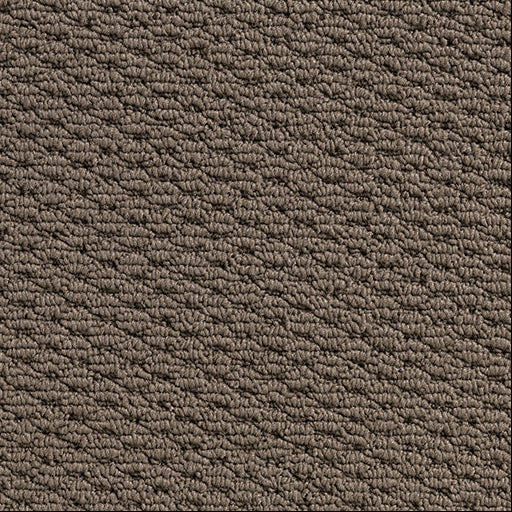 Patterned Loop Pile Carpet in Seagrass a light brown.