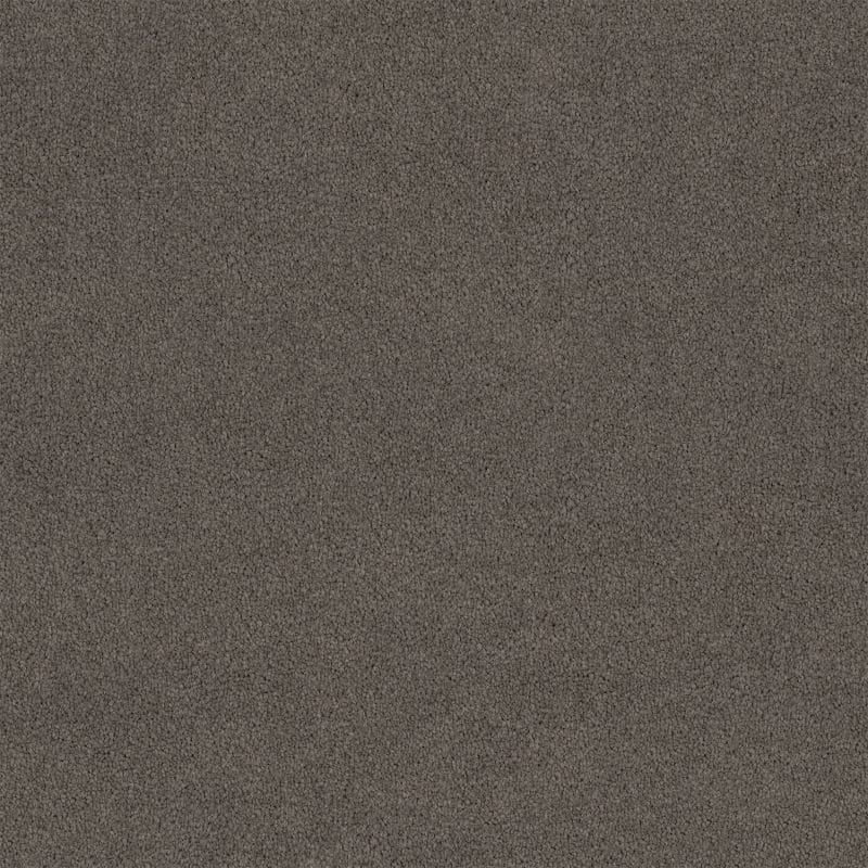 Lasting Touch Carpet