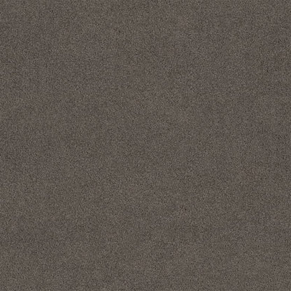 Lasting Touch Carpet