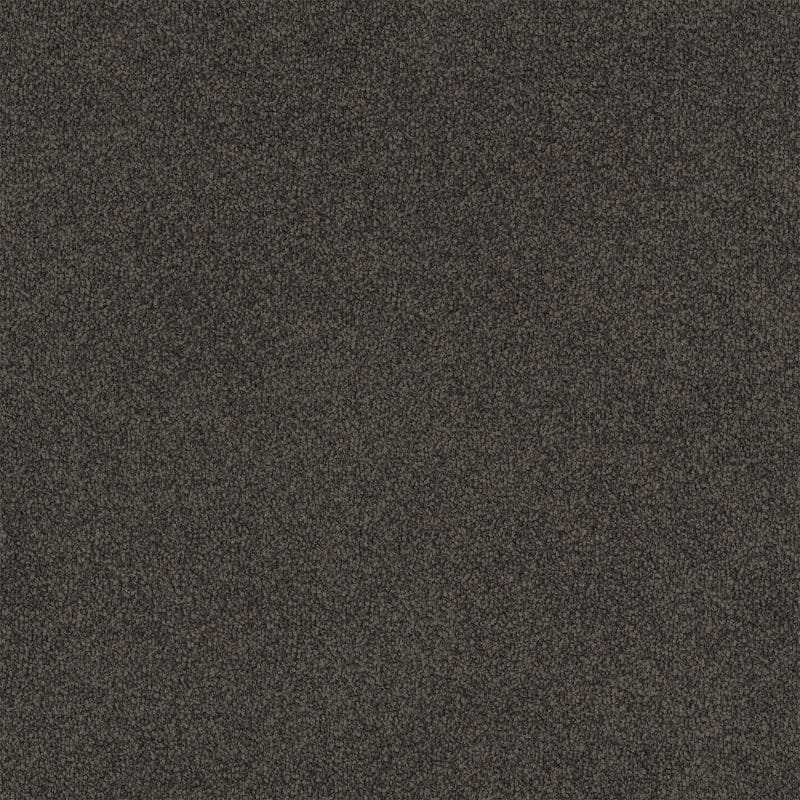 Lasting Touch Carpet