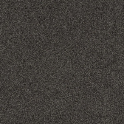 Lasting Touch Carpet