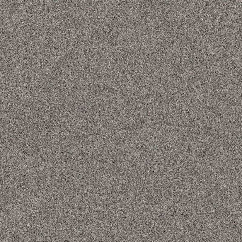 Lasting Touch Carpet