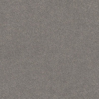 Lasting Touch Carpet