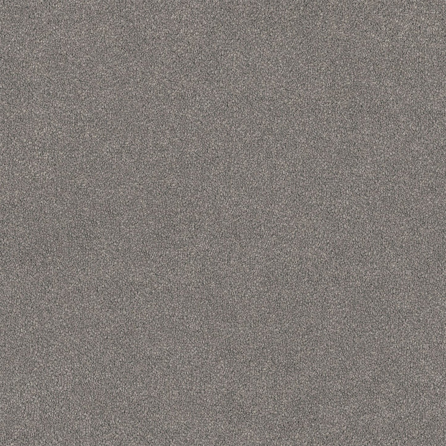 Lasting Touch Carpet