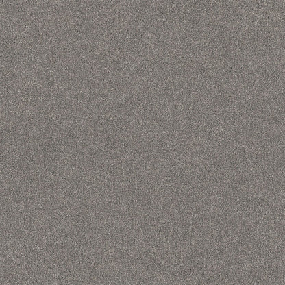 Lasting Touch Carpet