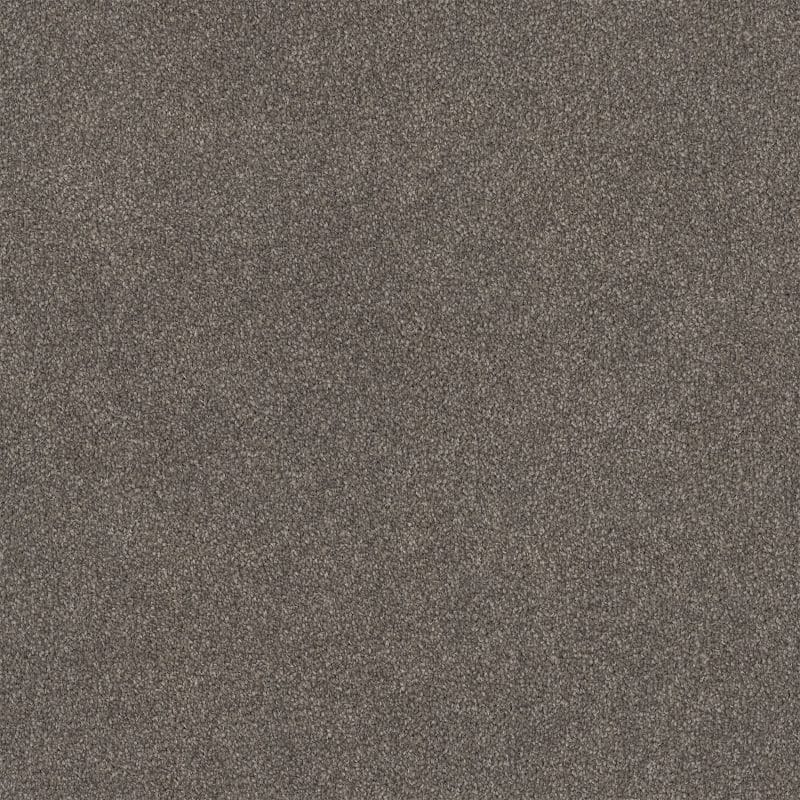Lasting Touch Carpet