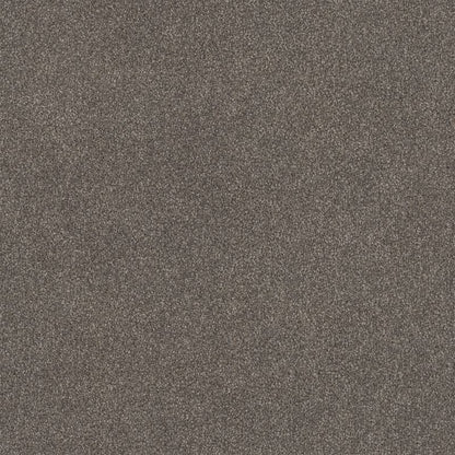 Lasting Touch Carpet