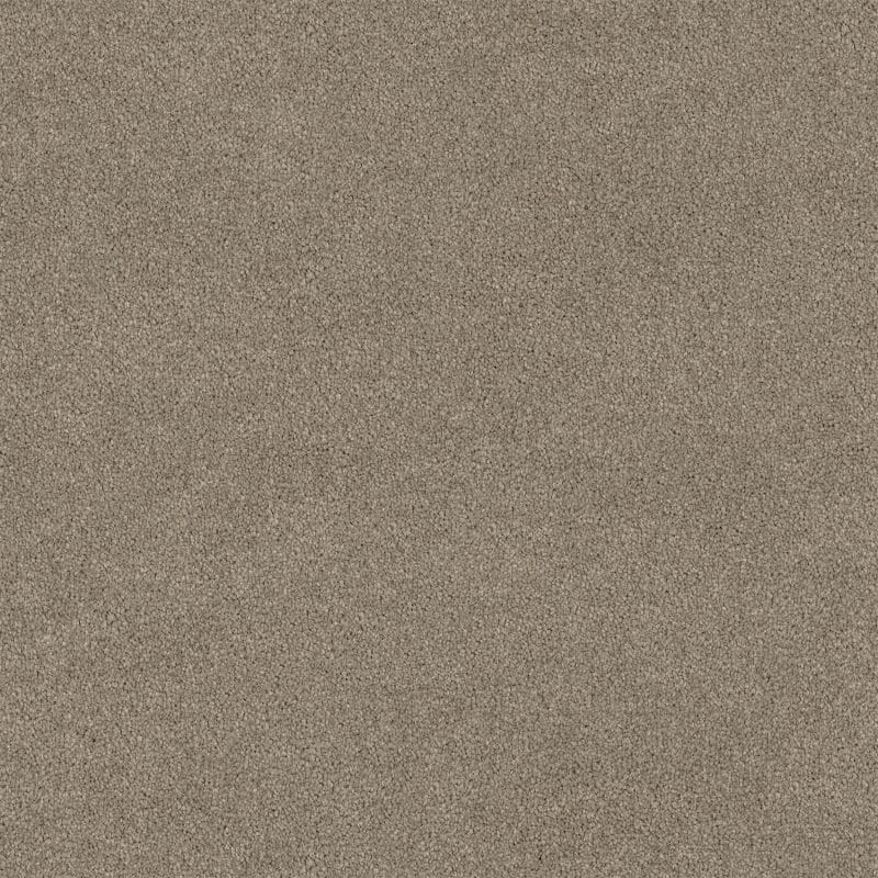 Lasting Touch Carpet