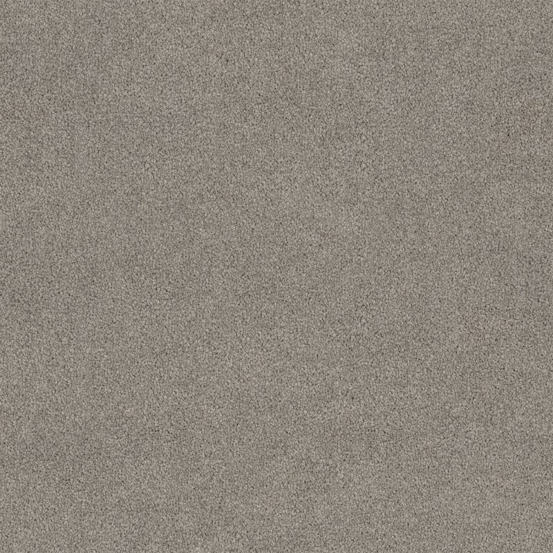 Lasting Touch Carpet
