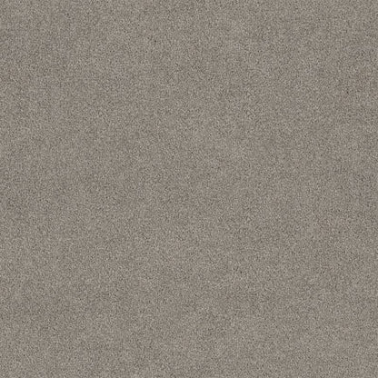 Lasting Touch Carpet