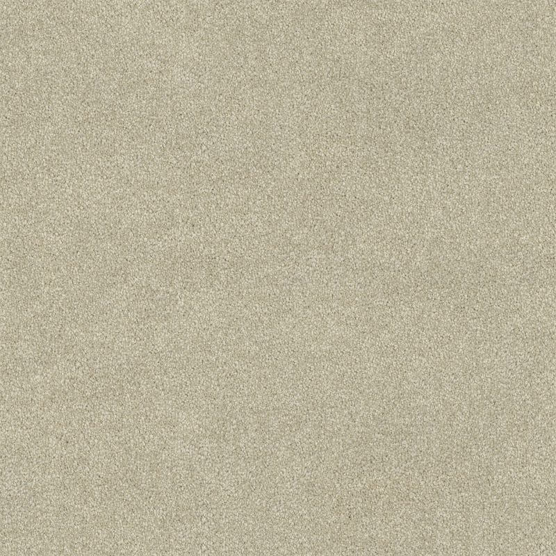 Lasting Touch Carpet