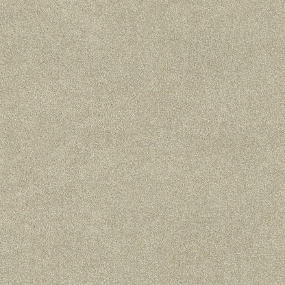 Lasting Touch Carpet