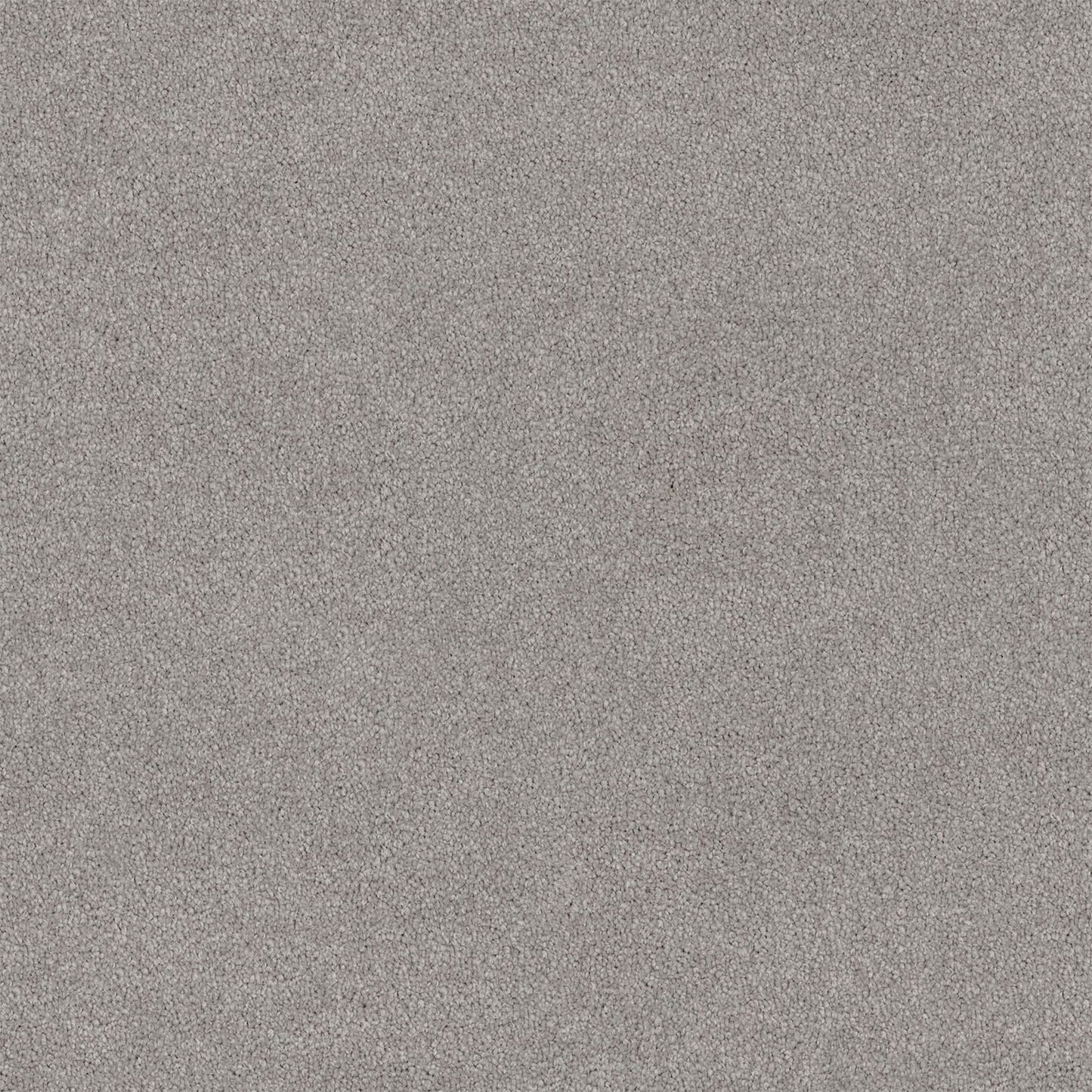 Lasting Touch Carpet