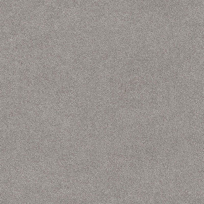 Lasting Touch Carpet