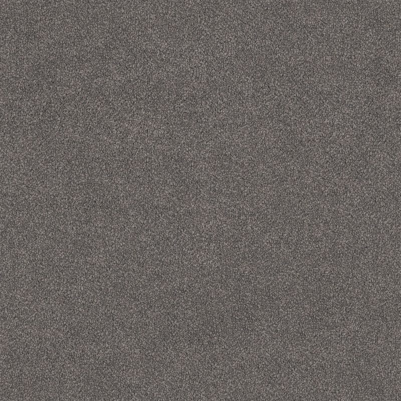 Lasting Touch Carpet