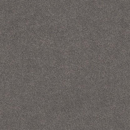 Lasting Touch Carpet