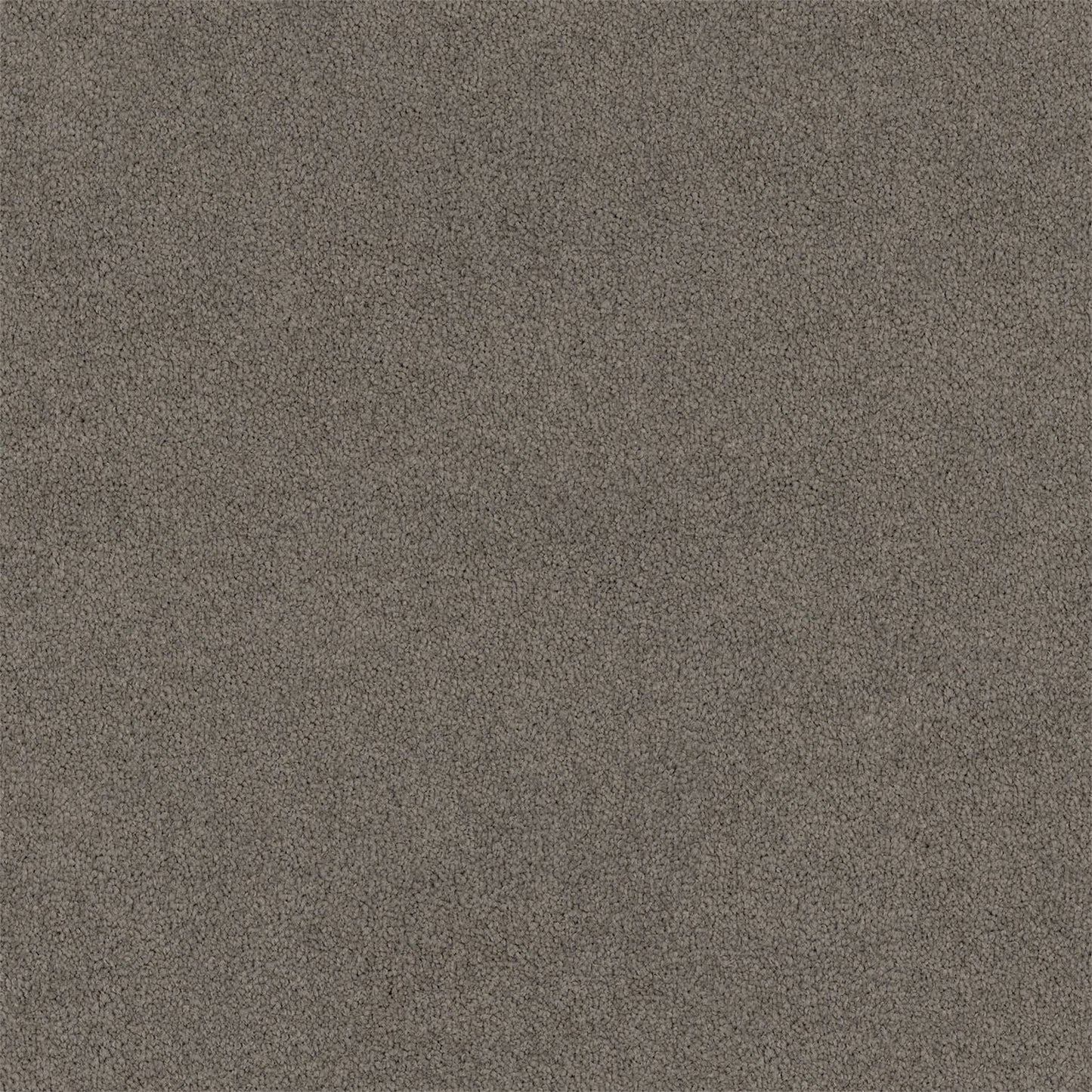 Lasting Touch Carpet