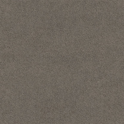 Lasting Touch Carpet