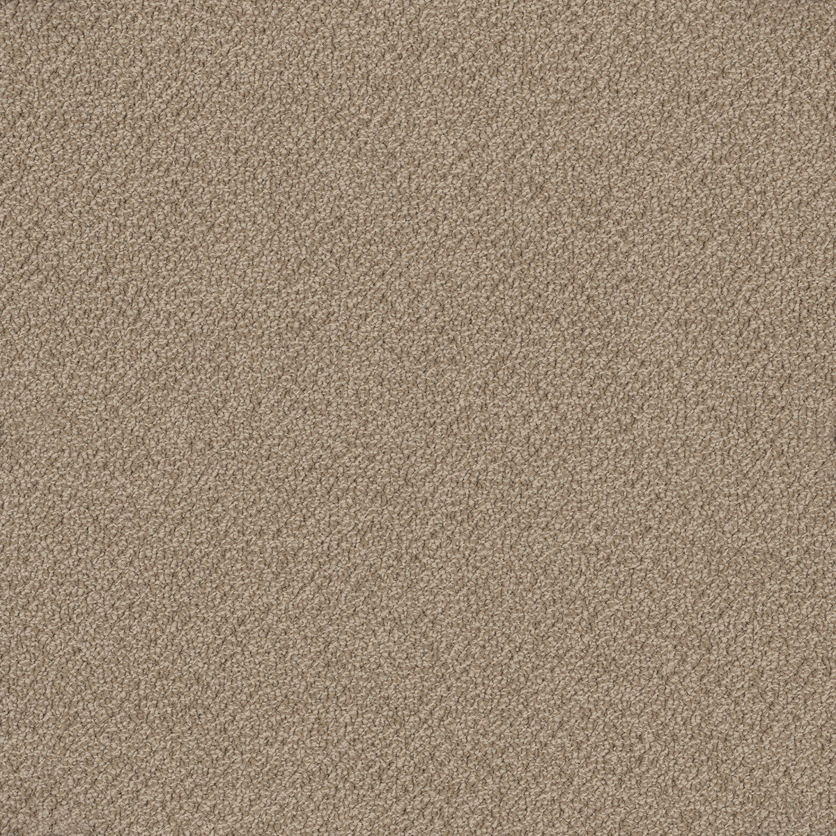 Bourkesgate Carpet