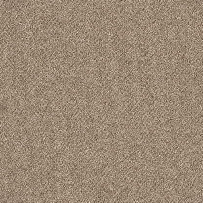 Bourkesgate Carpet