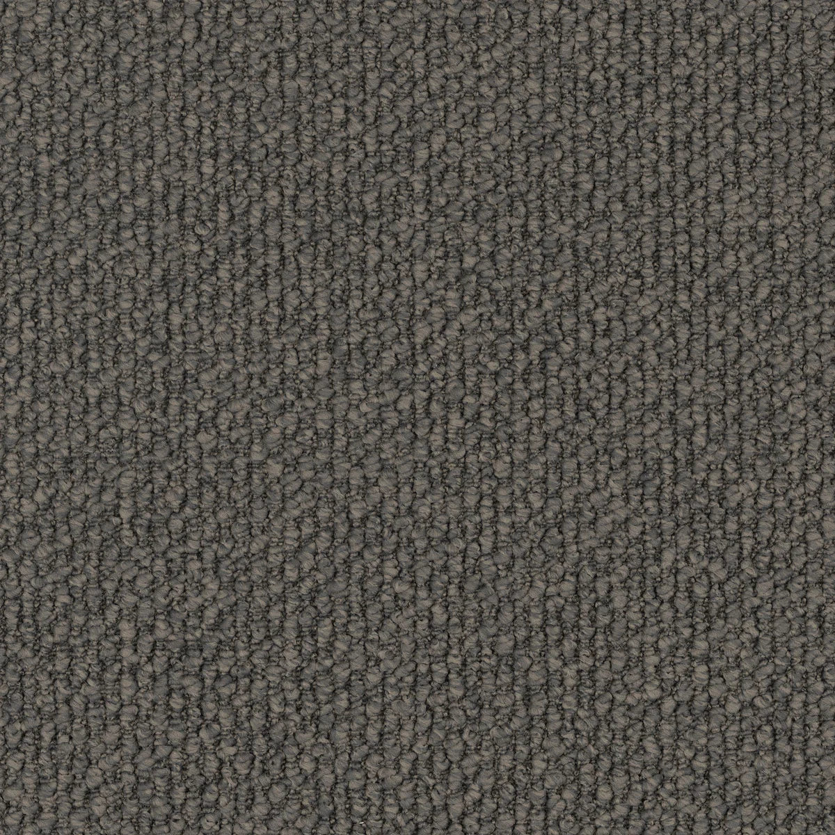 Montrosa Carpet