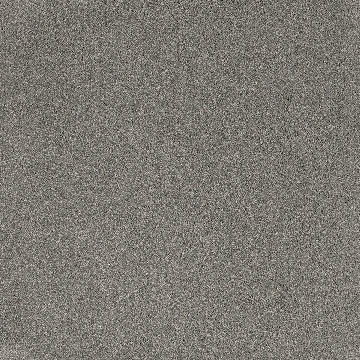 Coco Bliss Carpet