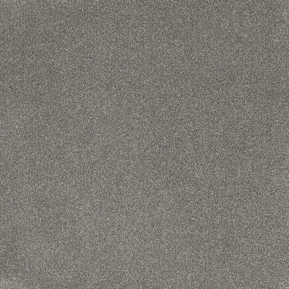 Coco Bliss Carpet